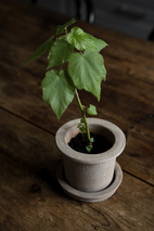 Kruka m fat d12 h10 cm