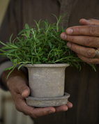 Kruka m fat d12 h10 cm