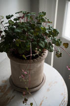 Kruka m fat d20 h20 cm