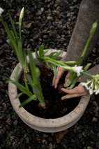 Kruka m fat d33 h12 cm