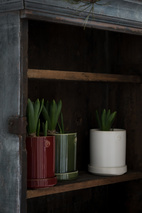 Kruka d10 h11 grön med fat