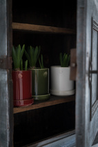 Kruka d10 h11 vit med fat