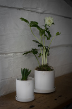 Kruka d13 h13 vitmed fat