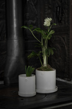 Kruka d10 h11 vit med fat