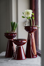 Lökvas d8,5 h20 cm röd