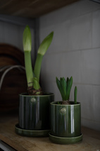 Kruka d13 h13 grön med fat