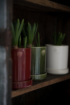 Kruka d10 h11 röd med fat