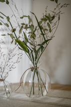 Glasvas d13 h15 cm för kvist eller kärna