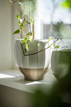 Kruka d18 h18 vit/natur